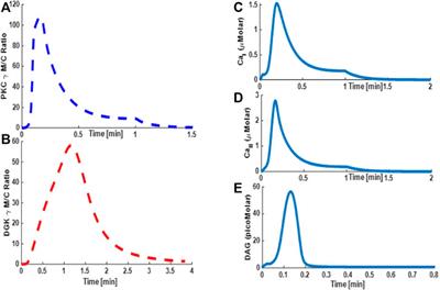 TRPC3 Channel Activity and Viability of Purkinje Neurons can be Regulated by a Local Signalosome